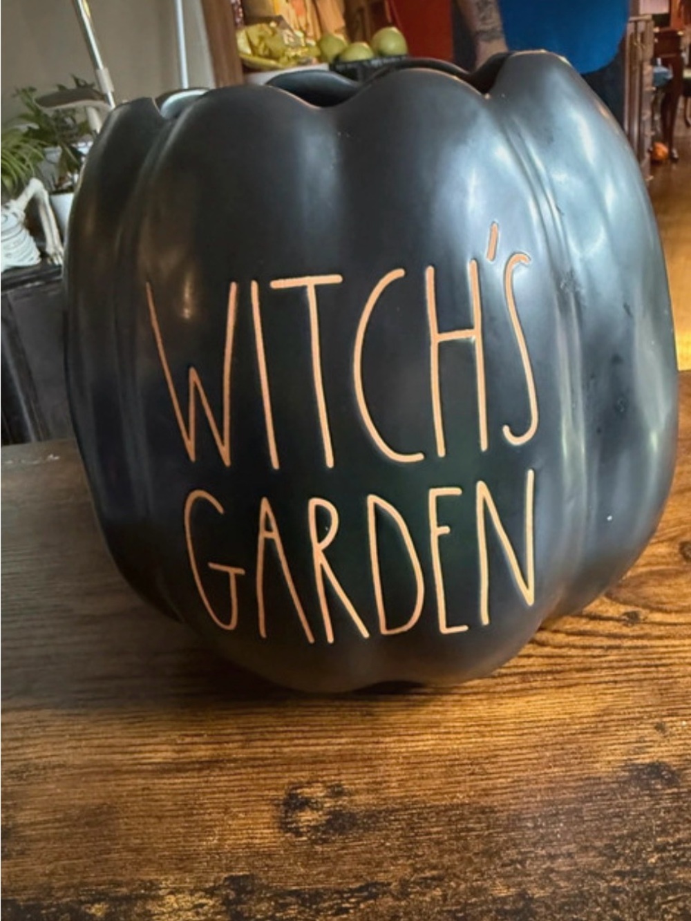 Witch's Garden Black Decorative Pumpkin Planter - Rae Dunn